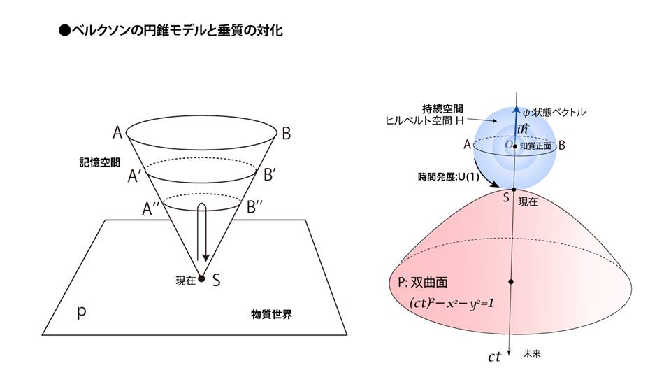 ベルクソンの円錐モデルと垂質の対化